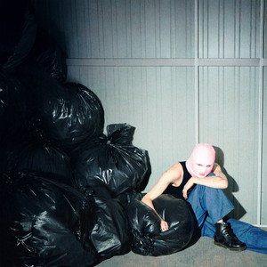 Dance In The Light album cover