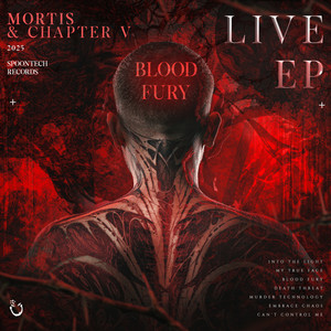 Blood Fury - Live Edit artwork